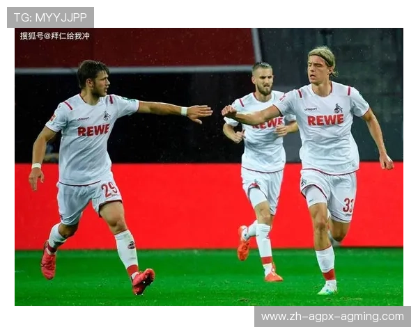 “爱足球的小美”是德甲哪支球队的忠实球迷分析